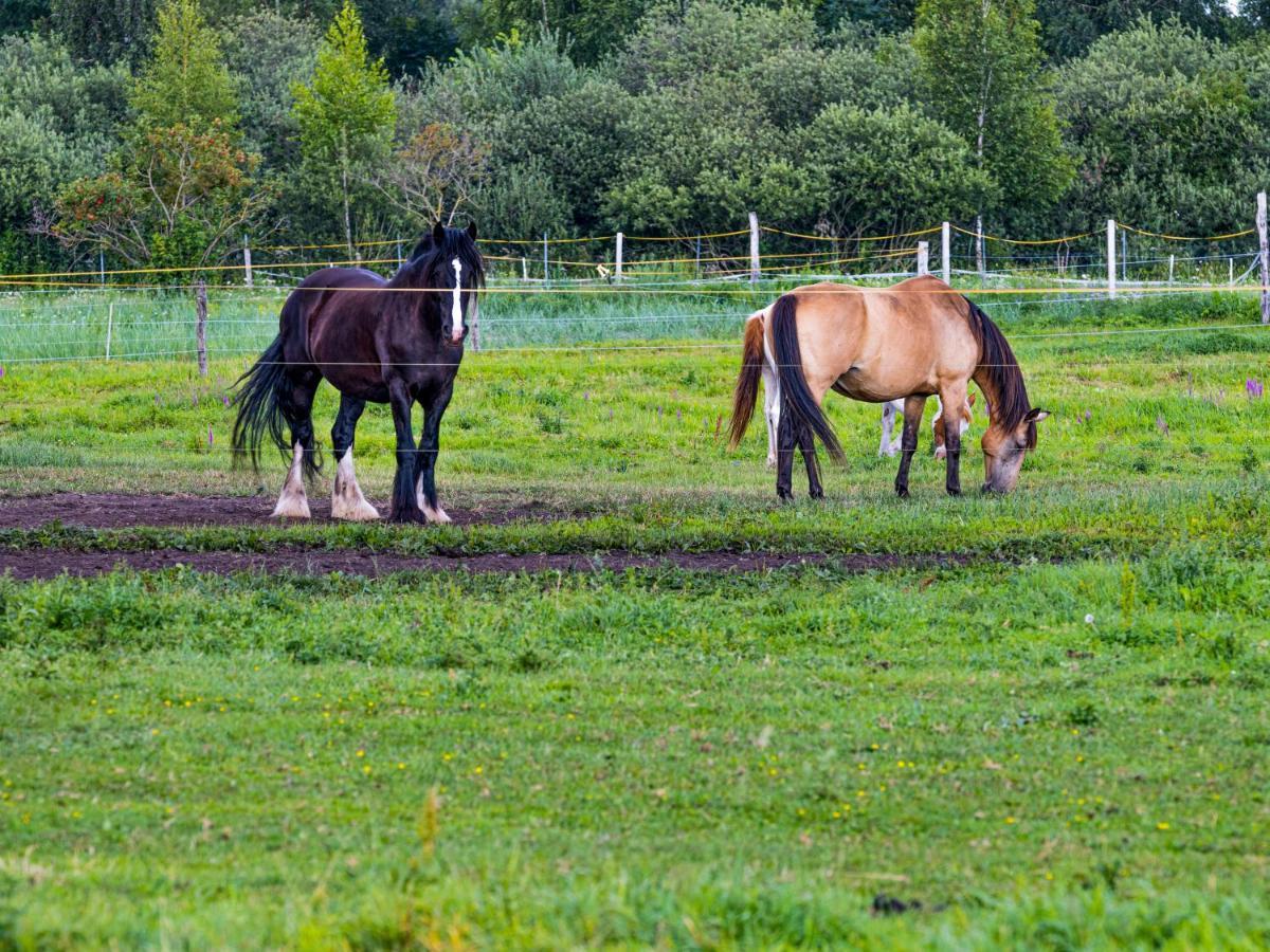 Pensjonat Zielone Wzgorze Ліп'яни Екстер'єр фото